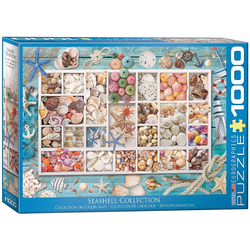 Muschelsammlung (Puzzle)