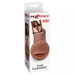 Coed cocksucker brown