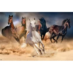 Grupo PLAKAT PET KONJ, (20837323)