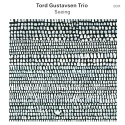 Tord Gustavsen Trio - Seeing (LP)