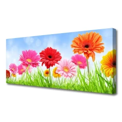 tulup.si Slika na platnu Cvetje grass rastlin 120x60 cm