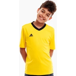 Adidas Majice obutev za trening rumena M Entrada 22
