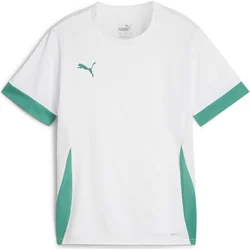 Dres Puma teamGOAL Matchday Jersey jr