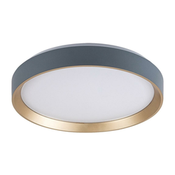 RABALUX Liatris2 71185 LED plafonjera