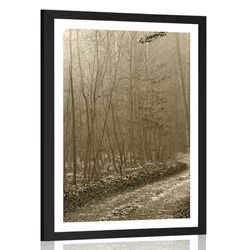 Plakat s paspartujem sephia steza v gozd - 30x45 silver