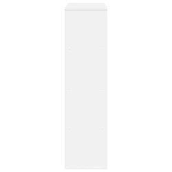 Sobna pregrada bijela 100 x 33 x 125,5 cm konstruirano drvo