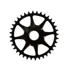 Lančanik E-bike Praxis za SyncDrive-C Sport DM CL 52mm 36T