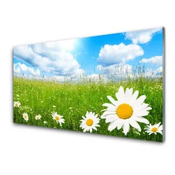 tulup.si Steklena slika Daisy grass nature 100x50 cm 2 obešalnika