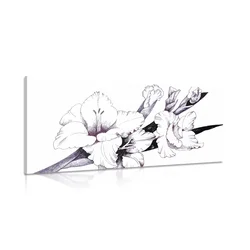 Slika ilustracija cvetoče gladiole - 60x30