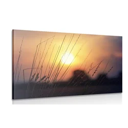Slika sončni vzhod nad travnikom - 90x60