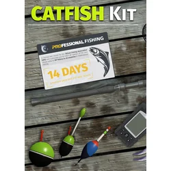 Professional Fishing: Catfish Kit (DLC) (PC) Steam Key GLOBAL