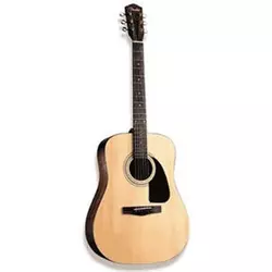 FENDER western kitara DG-6