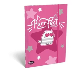Tabla z elastiko, karton, A5, LIZZYSULI, Kit tok Stars Purrfect