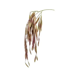 Umetna plezalka Rhipsalis 80cm - 76 do 100 cm