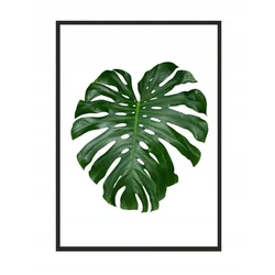 shumee SLIKA, PLAKAT V OKVIRJU 73x53 cm List 1 P569