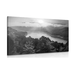 Slika reka sredi gozda v črnobeli izvedbi - 30x20