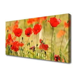 tulup.si Slika na platnu Rastlinskih mak naravi 120x60 cm