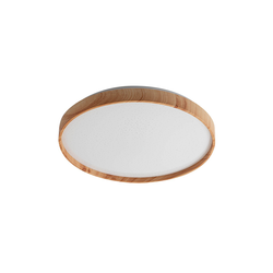 RABALUX Led plafonjera Leana 2 71144