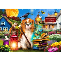 ENJOY Puzzle School of magic 1000 kosov