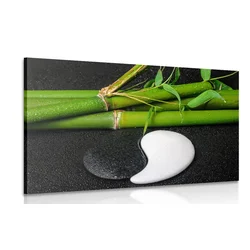 Slika kamni v obliki Jin in Jang - 30x20