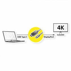 Secomp STANDARD Type C - DisplayPort Cable, M/M, 1.0 m