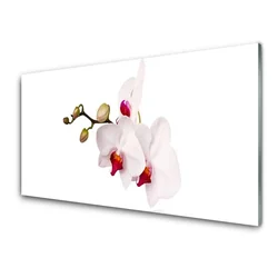 tulup.si Slika na steklu Orhideje narava 140x70 cm 4 obešalnika
