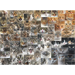 D-Toys - Puzzle Cats 2 - 1 000 kosov