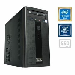 MEGA 2000 G5400 4GB/120GB WIN