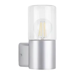 Briloner 320504TF - Spoljašnja zidna lampa 1xE27/12W/230V IP44 srebrna