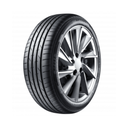 Aptany RP062 ( 195/65 R15 91V )