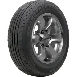Dunlop Grandtrek PT30 ( 225/60 R18 100H)