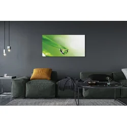 tulup.si Slika na platnu Drop listov sonce 140x70 cm