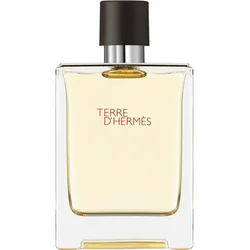 Hermes Muška toaletna voda Terre dHermes, EDT, 100 ml