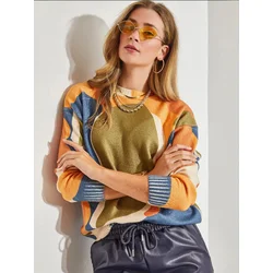 Bianco Lucci Pulover Pullover mešane barve