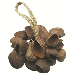 Shaker Seed Shell TOCA
