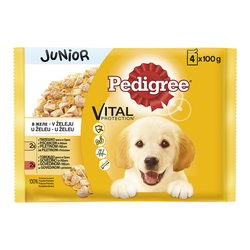 PEDIGREE Vlažna hrana za pse junior multipack piletina I govedina u želeu 4x100g