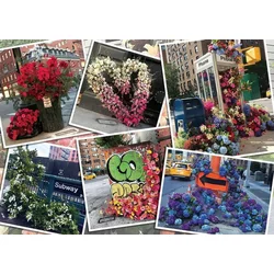 Ravensburger Slagalica NYC cveće, 1000 delova