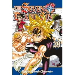 Seven Deadly Sins 29