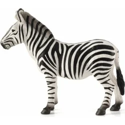 Moja Zebra