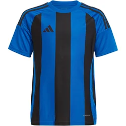 Dres adidas STRIPED 24 JSYY