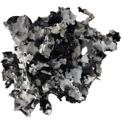 shumee Črni lišaj 25 g