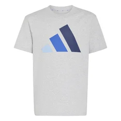 Adidas J BL TEE 160, dječija majica, siva KRJ94
