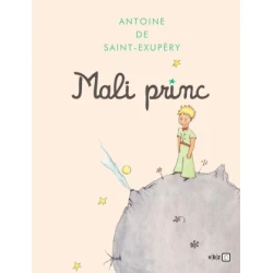 Mali princ