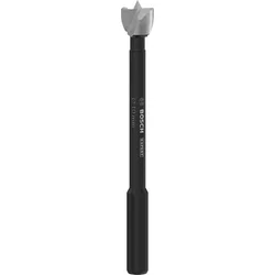Bosch Expert Forstner burgija za drvo 2608901821, O 10 mm
