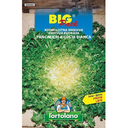 SOLATA ENDIVIJA KODROLISTNA BIG PACK 20gr