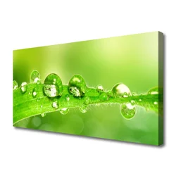 tulup.si Slika na platnu Rastlina leaf dew drops 140x70 cm