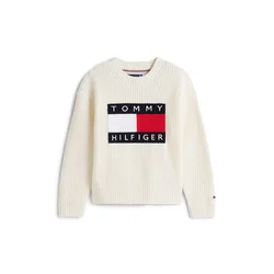 TOMMY HILFIGER Pulover Heritage rdeča / črna / bela