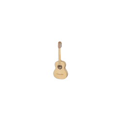 Hora Eco SS100 maple guitar