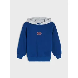 Sinsay - Hoodie sa pamukom - šareno