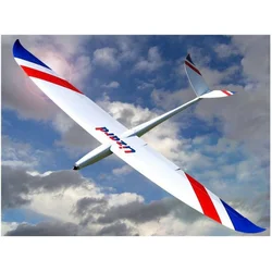 Lizard - F5F Elektro